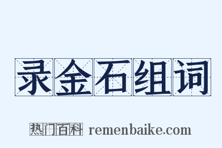 录金石组词是什么意思的图片